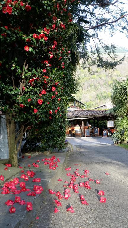 Villaggio Turistico Riviera Cannobio Buitenkant foto